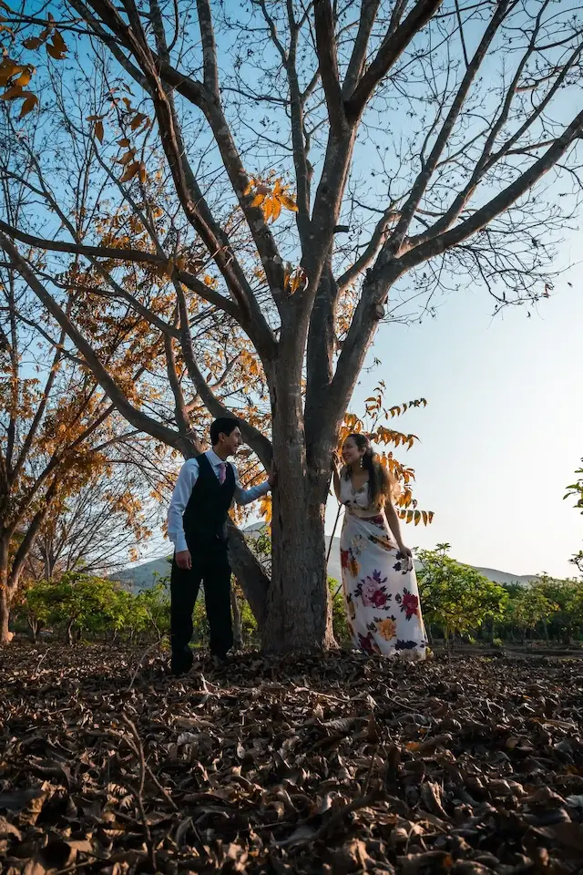 Novios mirandose bajo un árbol